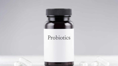 What Are Vegan Probiotics? Best Probiotics For Vegans