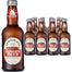 Fentimans - Ginger Beer,250ml, Pack of 12