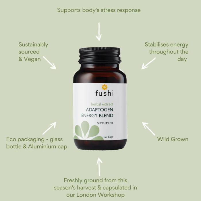 Fushi - Adaptogen Mushroom Blend, 60 Capsules - Back