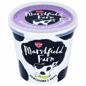 Marshfield - Blackcurrant Sorbet, 1L | Pack of 4