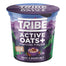 TRIBE - Choc Hazelnut Active Oats+ Pot, 70g - Pack of 8