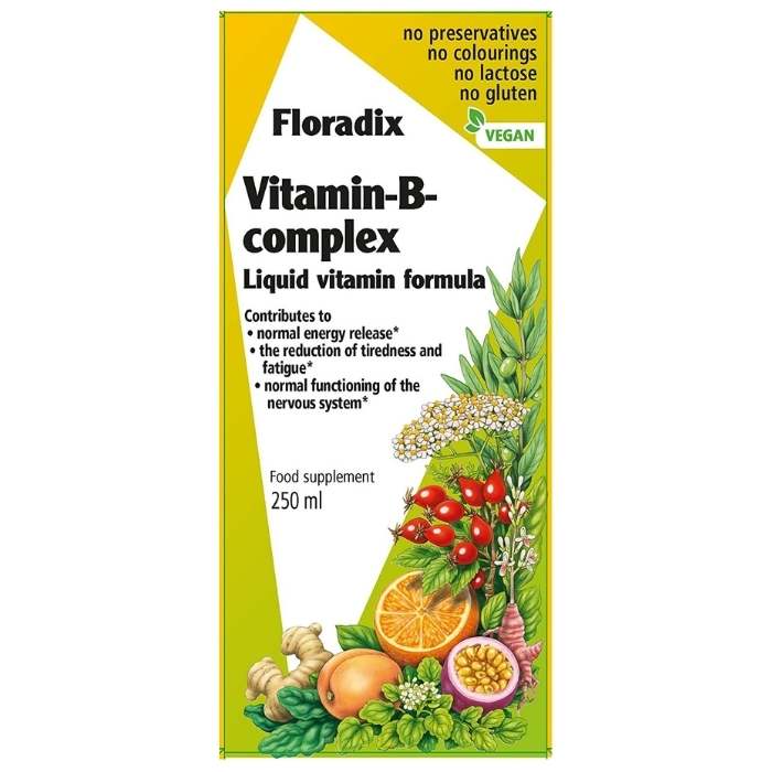 Salus - Floradix Vitamin B Complex, 250ml - front